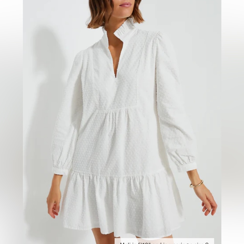 TUCKERNUCK White Swiss Dot Palmerston Dress XS-  Elegant White Women's Dress